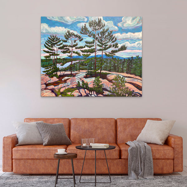 White Pine Lookout by Nancy Yanaky in situ