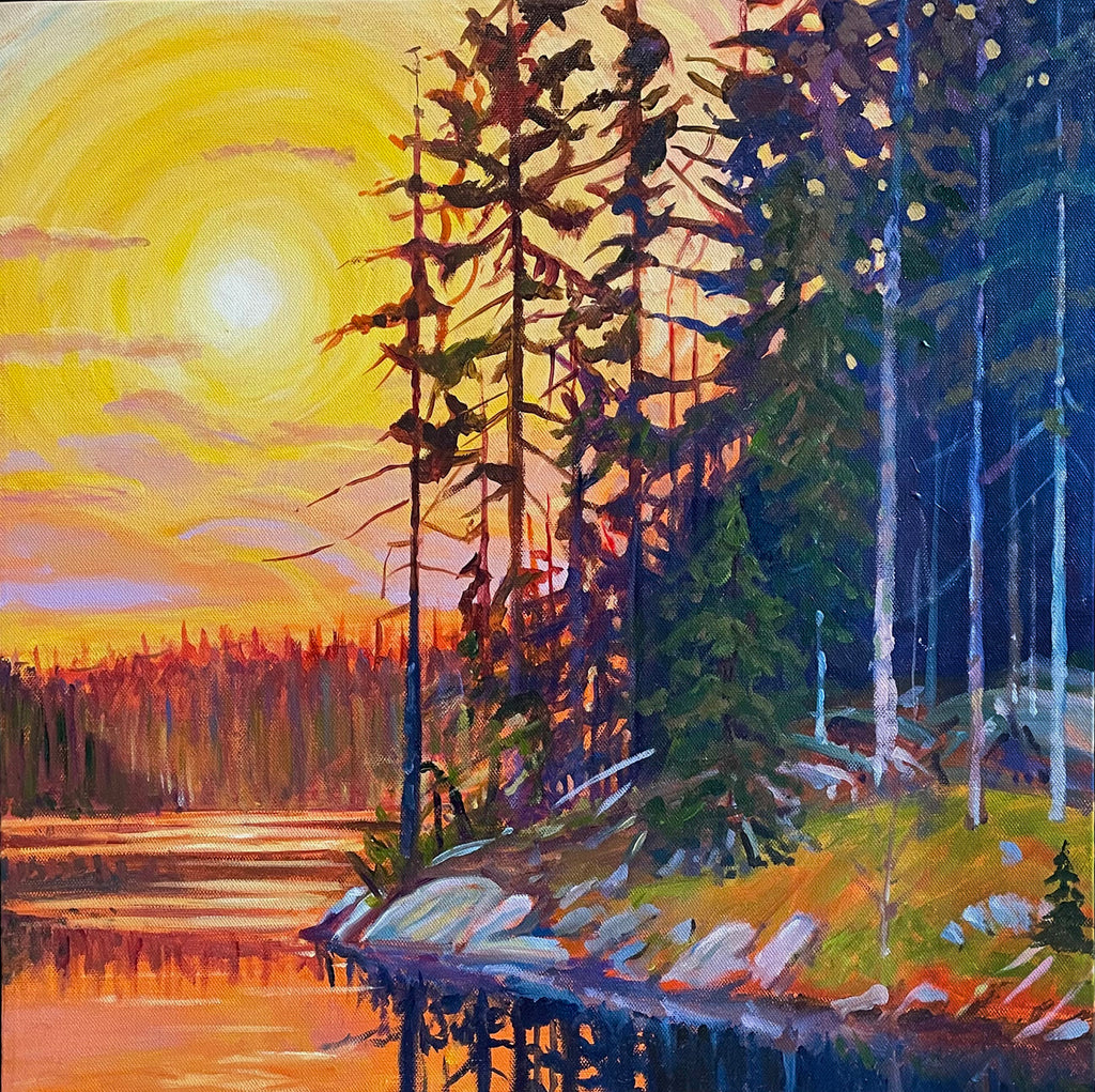 The Dimming of the Sun