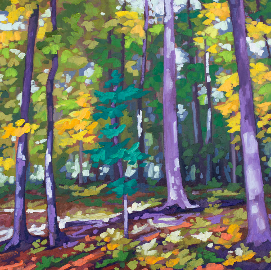 Dancing in the Light