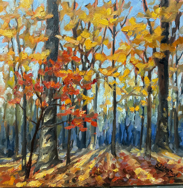 Autumn Woods