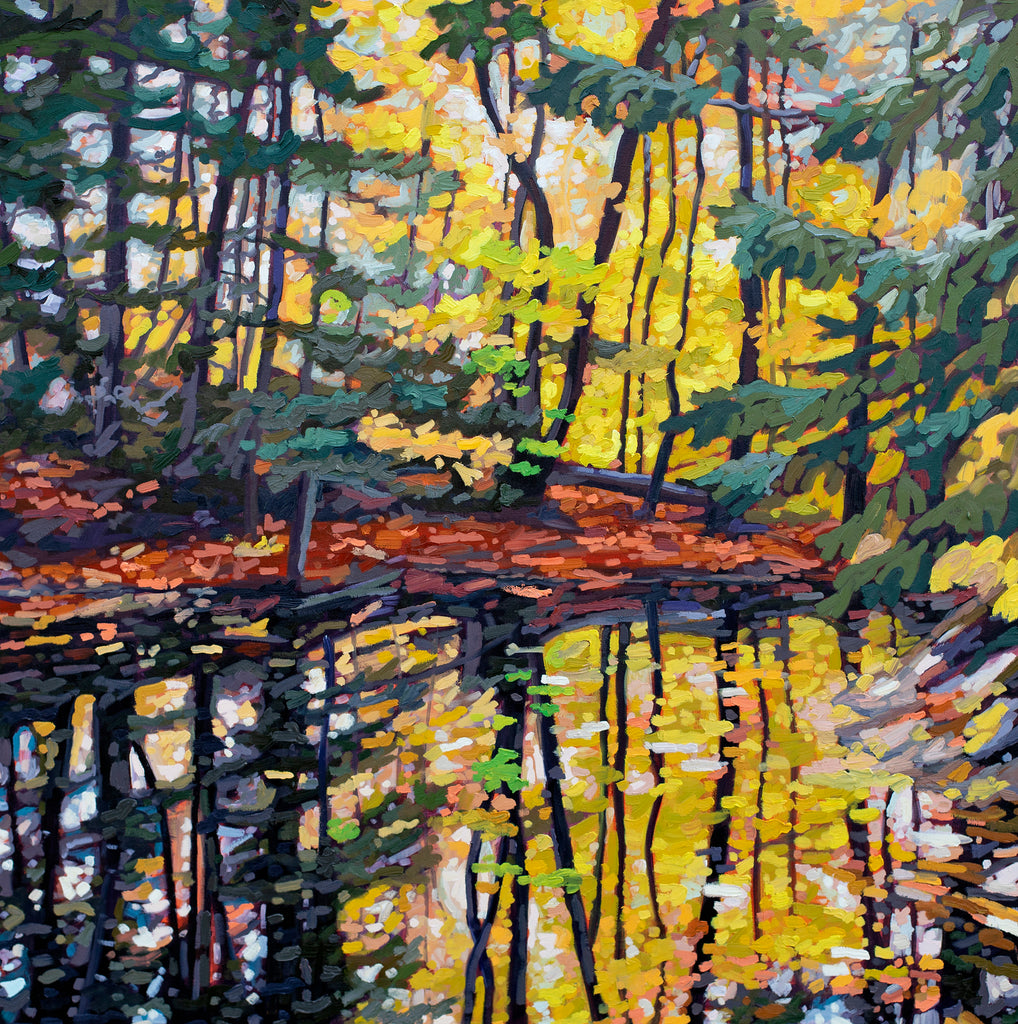 Muskoka Reflection