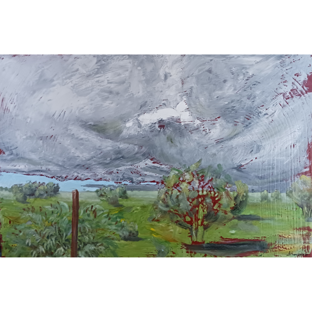 A Passing Storm on Cameron Ranch by Liz Schamehorn