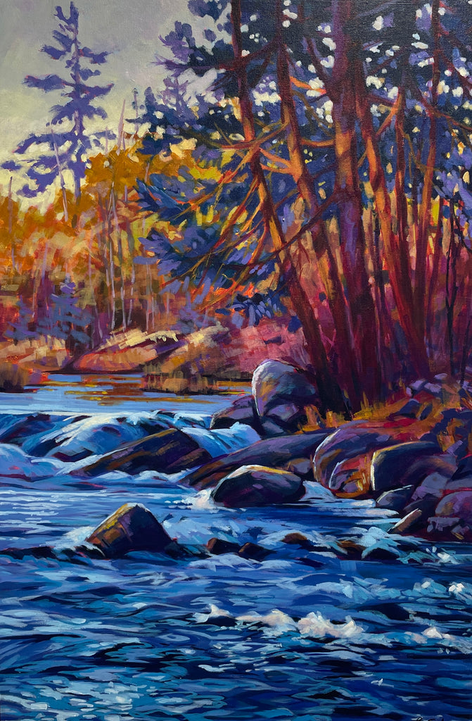 Black Creek Rapids by Barb Sohn