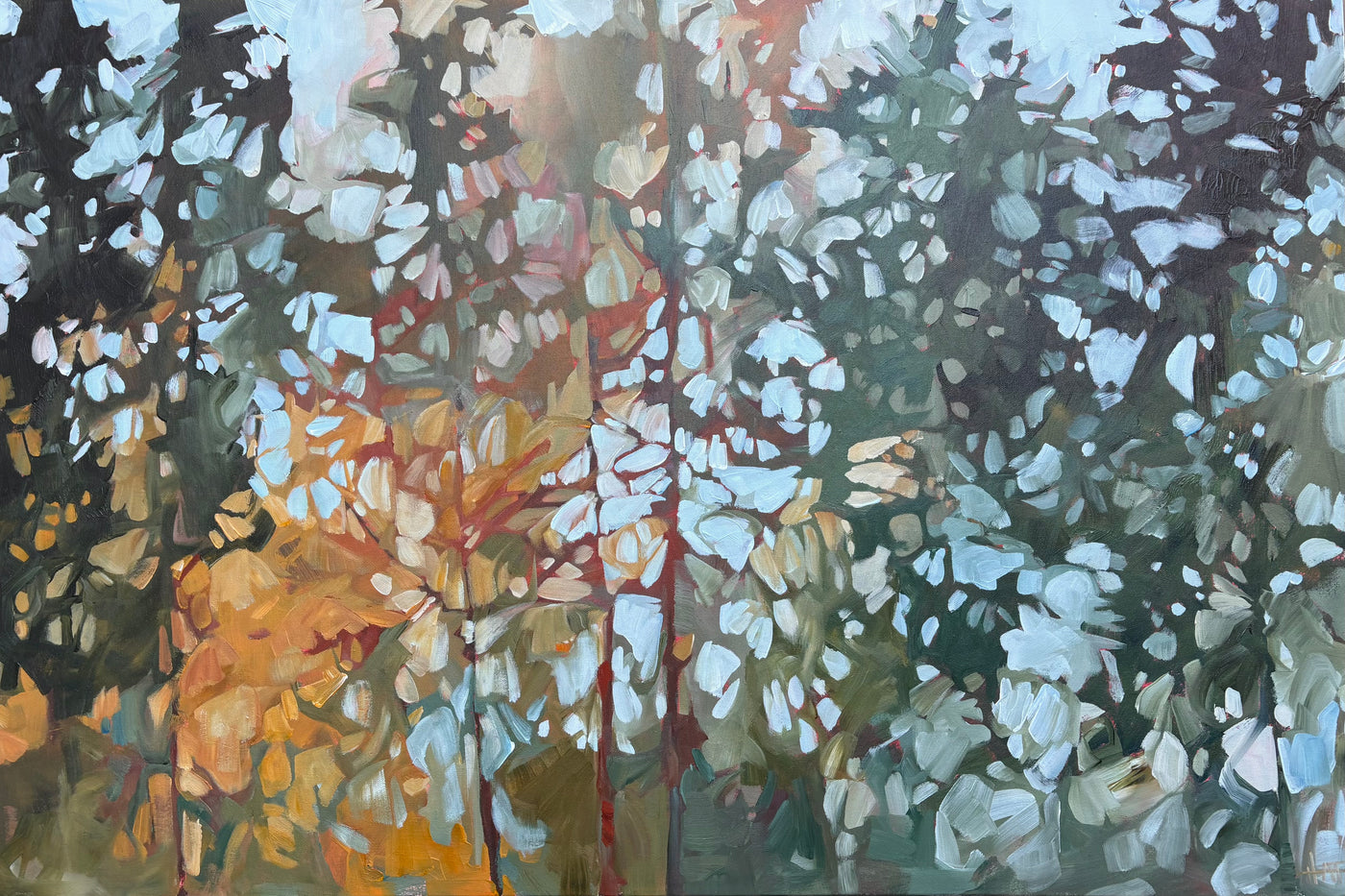 Filtered Light — painting by Holly Ann Friesen