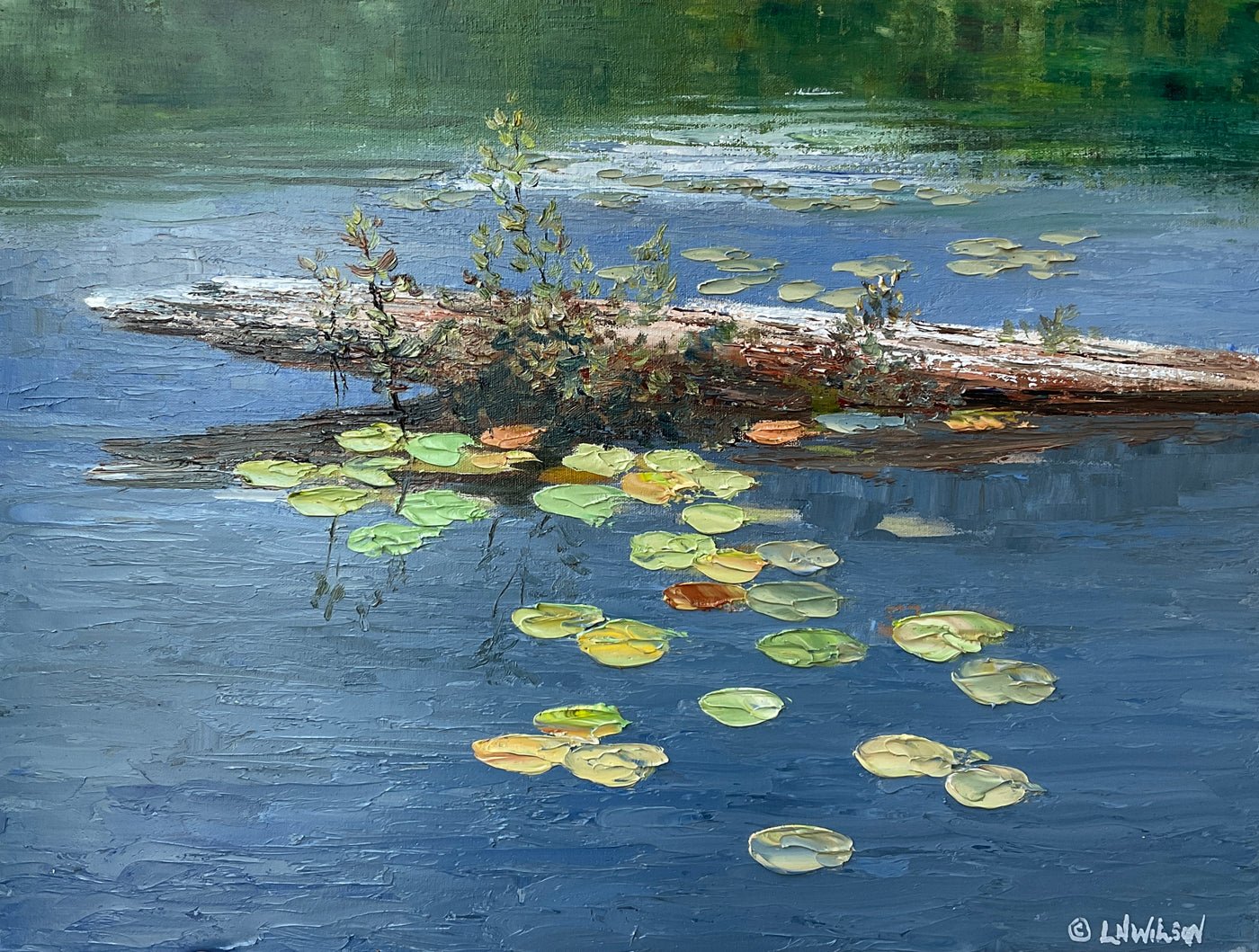 Canoe View — painting by Lloyd Wilson