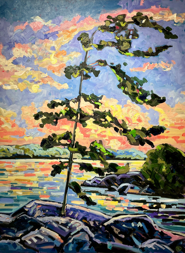 Pine For The Sun