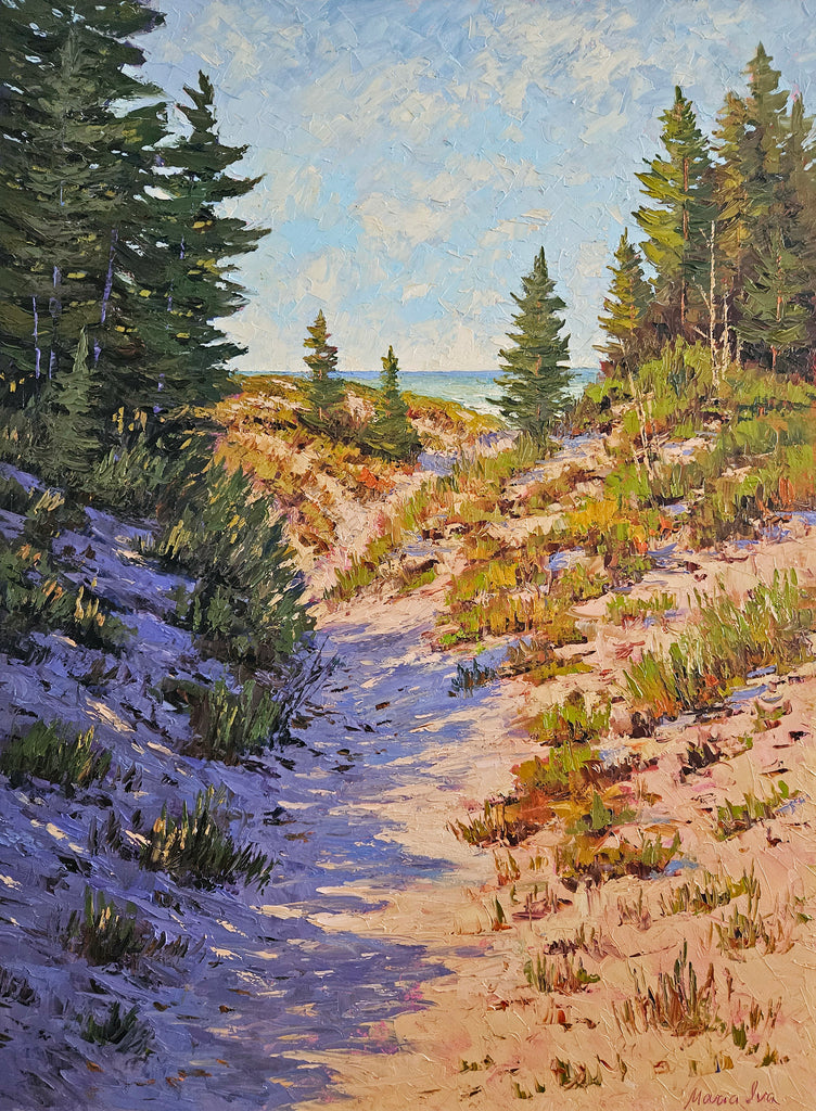 Shadows on Dunes
