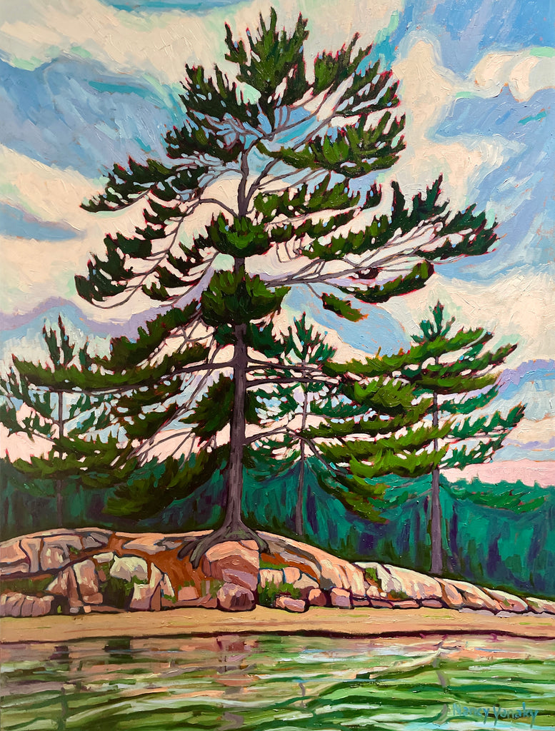 Shoreline Pine by Nancy Yanaky