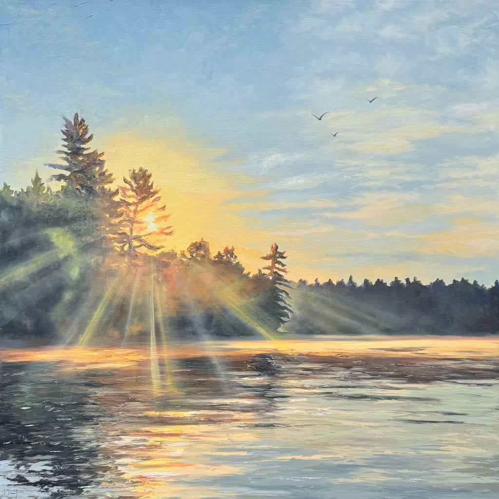 Sunlit Calm