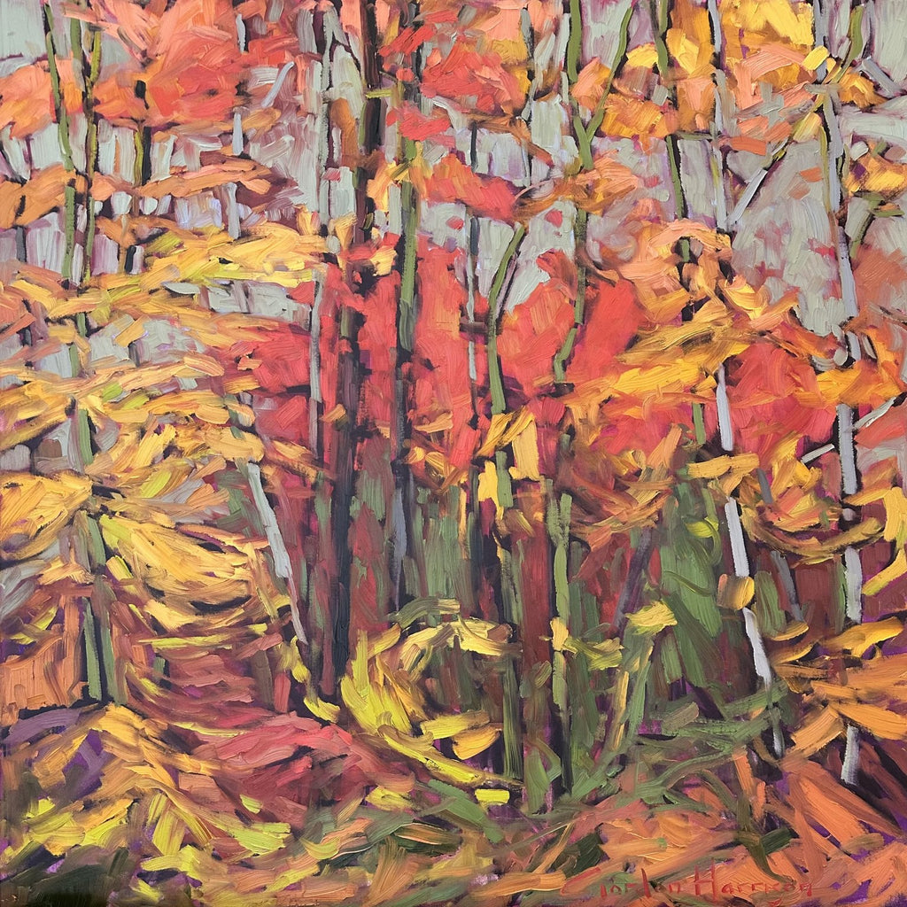 Whispers of Autumn Collection 37