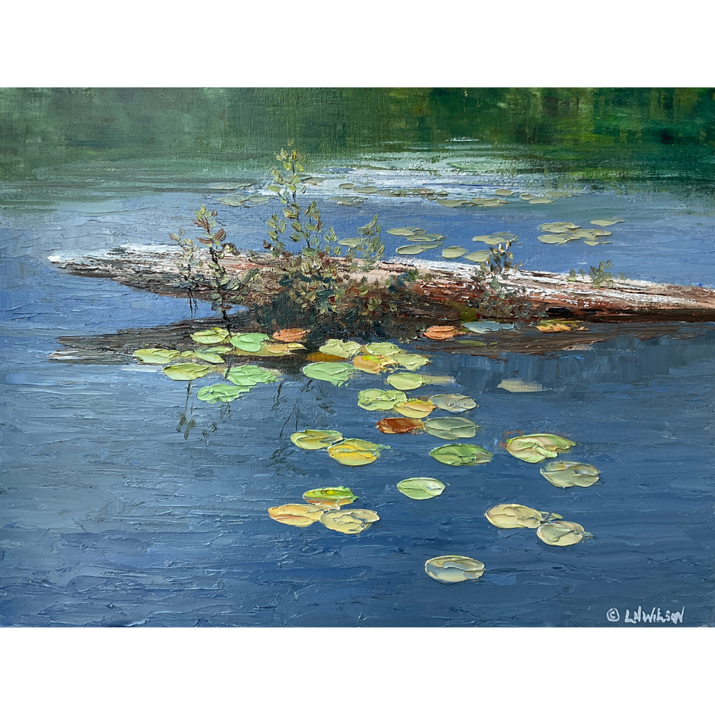 Canoe View