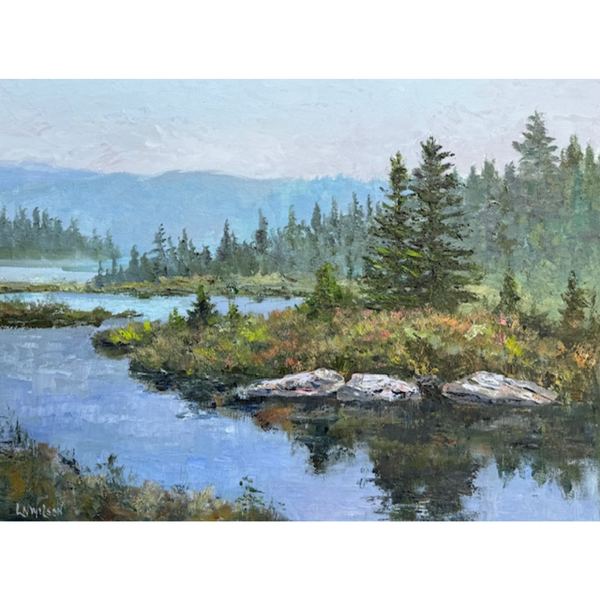 Misty Morning on Costello Creek by Lloyd Webster wide