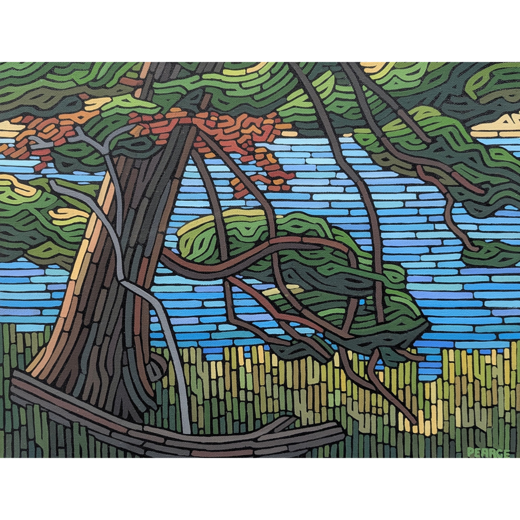 I Think I'll Sit Awhile, Bruce Trail Mono Cliffs