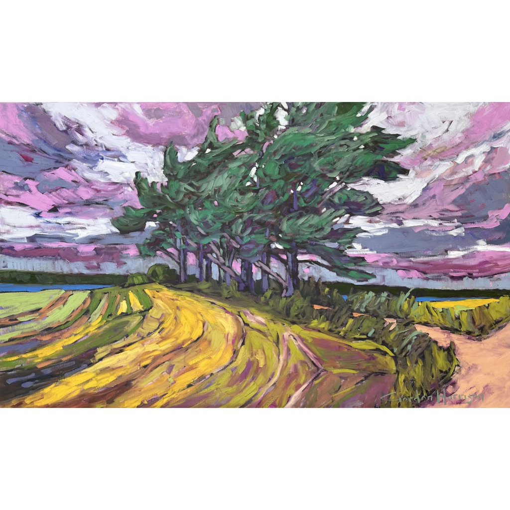 Echoes From The Island Collection 2