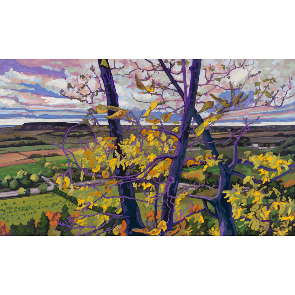 Escarpment View