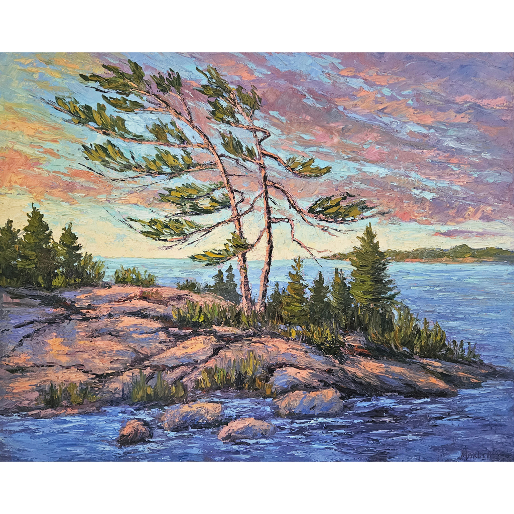 Pines at Dusk