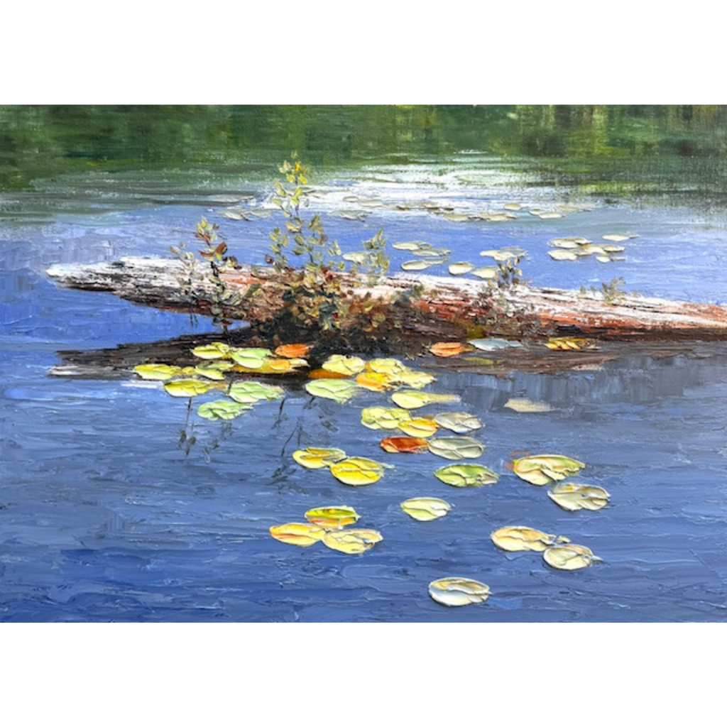 Canoe View