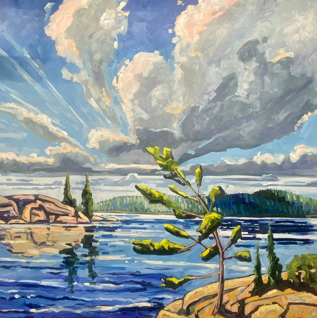 Winds of Summer by David Carmichael
