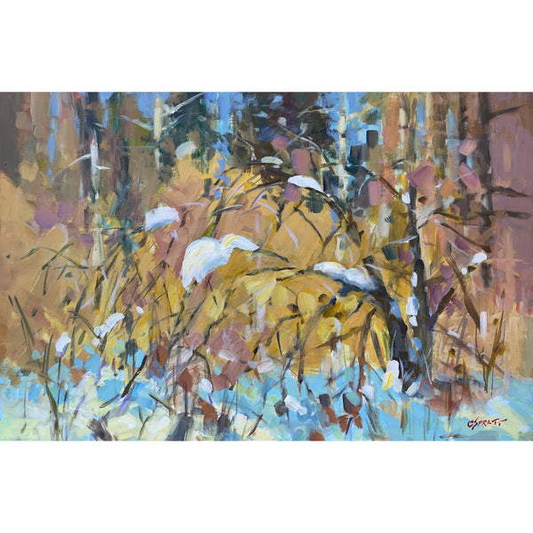 A Winter Cascade by Charles Spratt