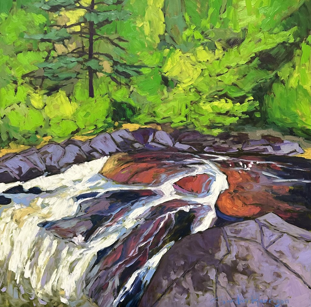 Where the Wilderness Meets the Sky Collection 26 Ragged Falls Oxtongue River Algonquin Park Ontario Canada — painting by Gordon Harrison