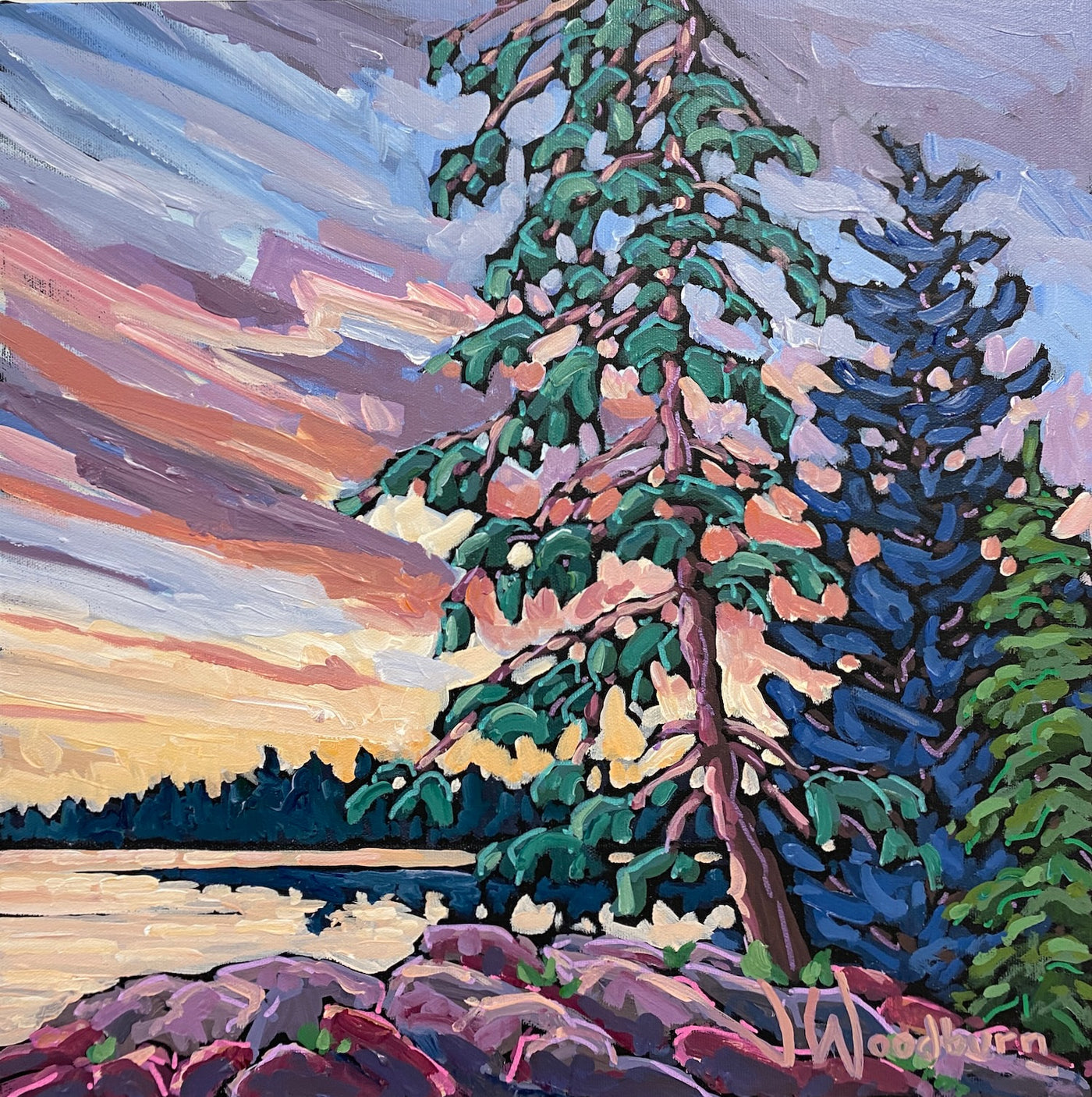 Towering Pine — painting by Jennifer Woodburn