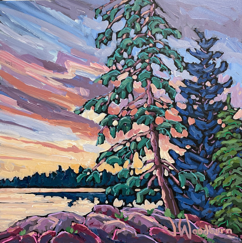 Towering Pine