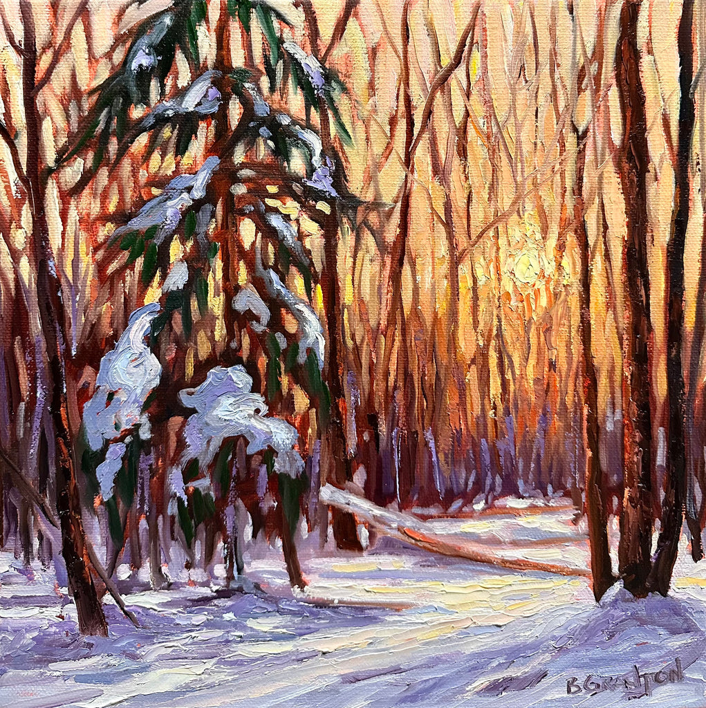 Winter Sunrise by Brigitte Granton