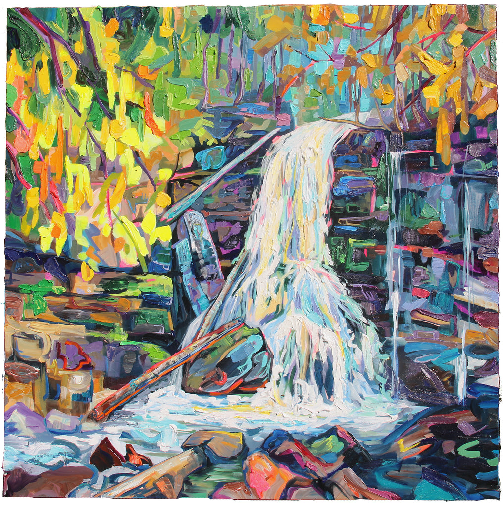 Chasing Woodland Waterfall by Sarah Carlson