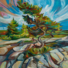 Windswept Killbear Tree by Julia Veenstra – Cloud Gallery