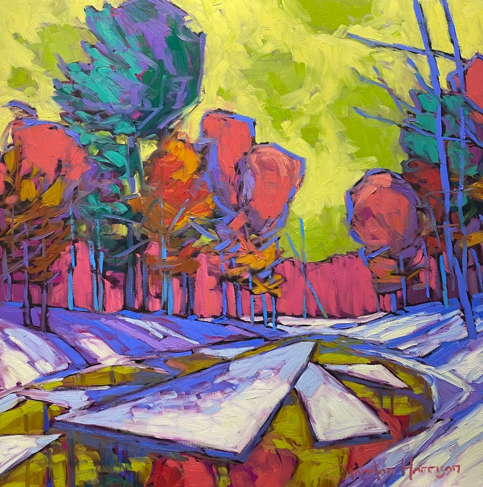 Madawaska In White Collection 21 by Gordon Harrison