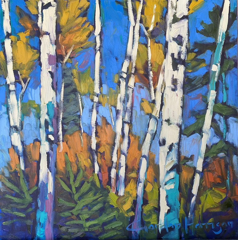 Symphony of Birches Collection 13 by Gordon Harrison