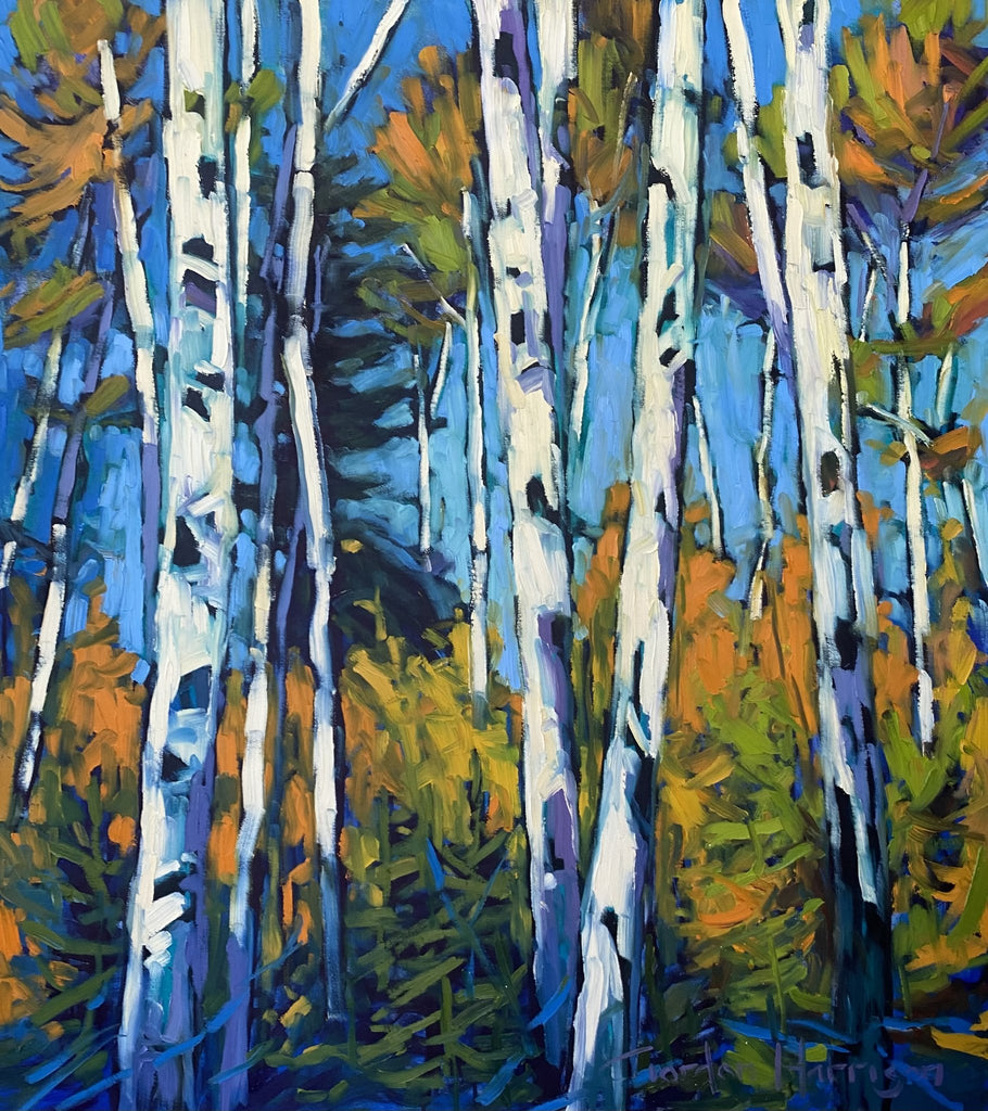 Symphony of Birches Collection 14 by Gordon Harrison