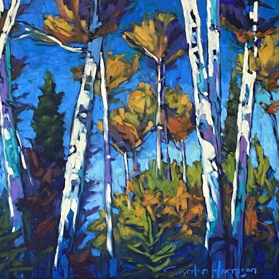 Symphony of Birches Collection 7 by Gordon Harrison square