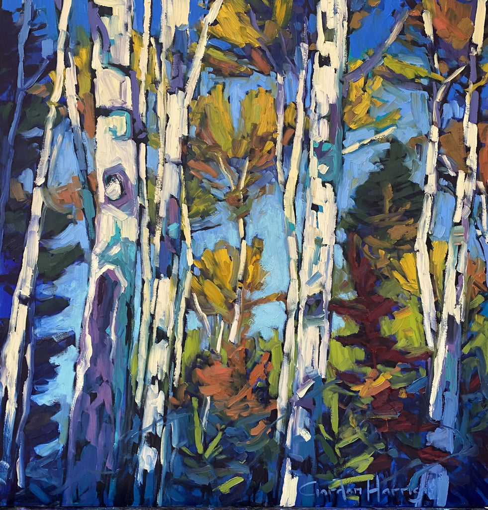 Symphony of Birches Collection 8 by Gordon Harrison